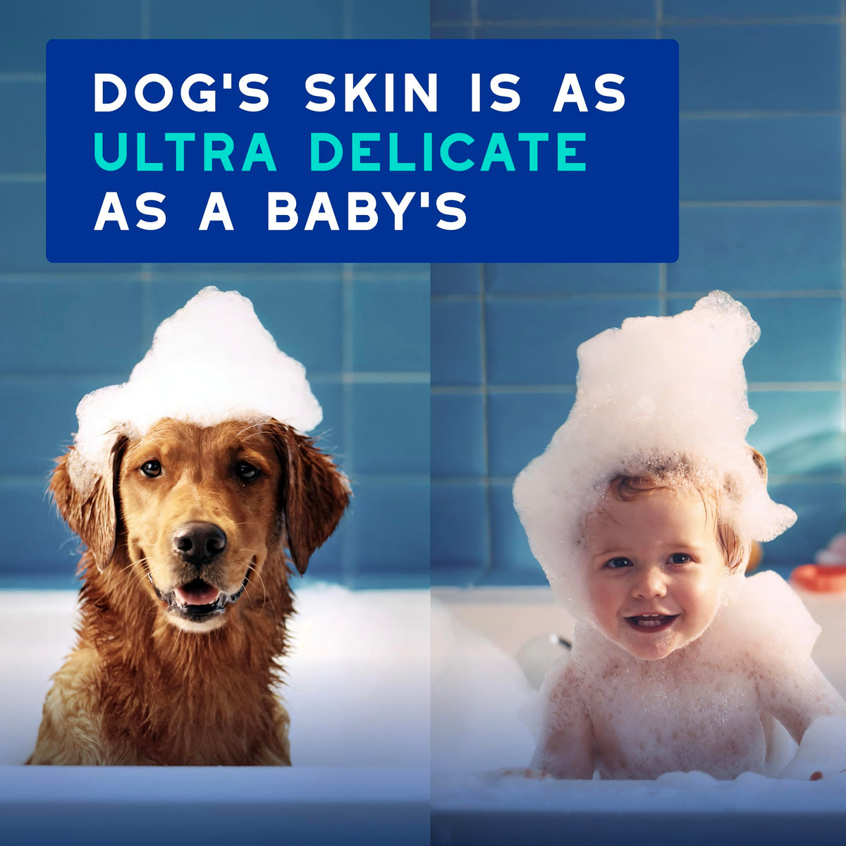 DOUXO SPA Dog Deodorizing Spray, 11.5 fl oz