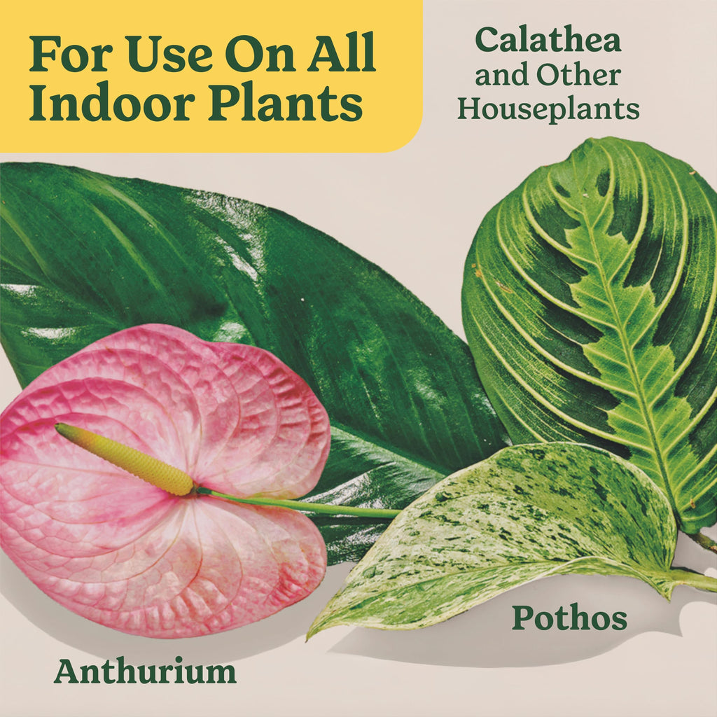 Miracle-Gro Indoor Plant Food Spikes for All Plants, 48 Spikes