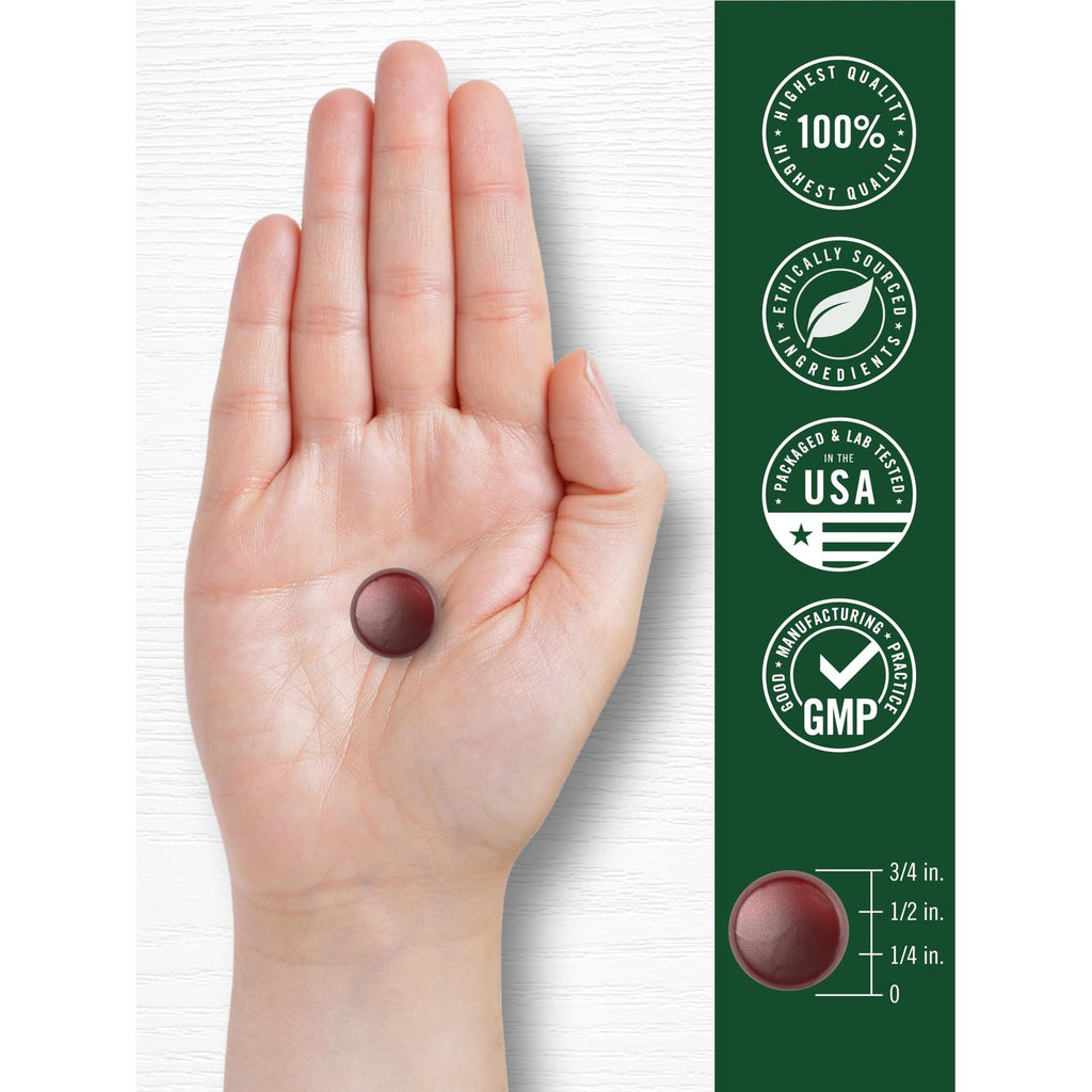 Carlyle Ginkgo Biloba | 70 Gummies | 45:1 Leaf Extract