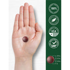Carlyle Ginkgo Biloba | 70 Gummies | 45:1 Leaf Extract