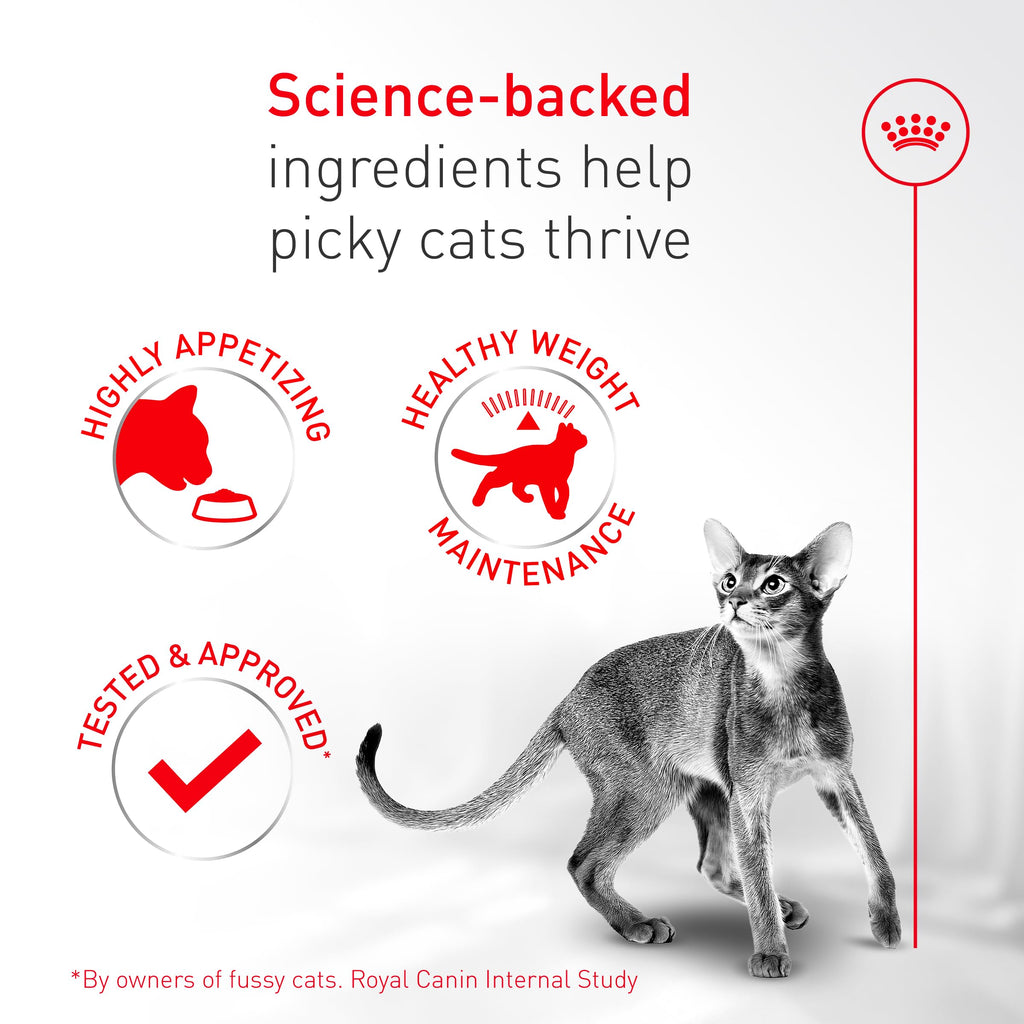 ROYAL CANIN Fussy Dry Cat Food for Adult Cats, Protein-Rich Kibbles for Picky Eaters, Poultry-Based, Supports Healthy Weight and Urinary Health, 7 lb Bag
