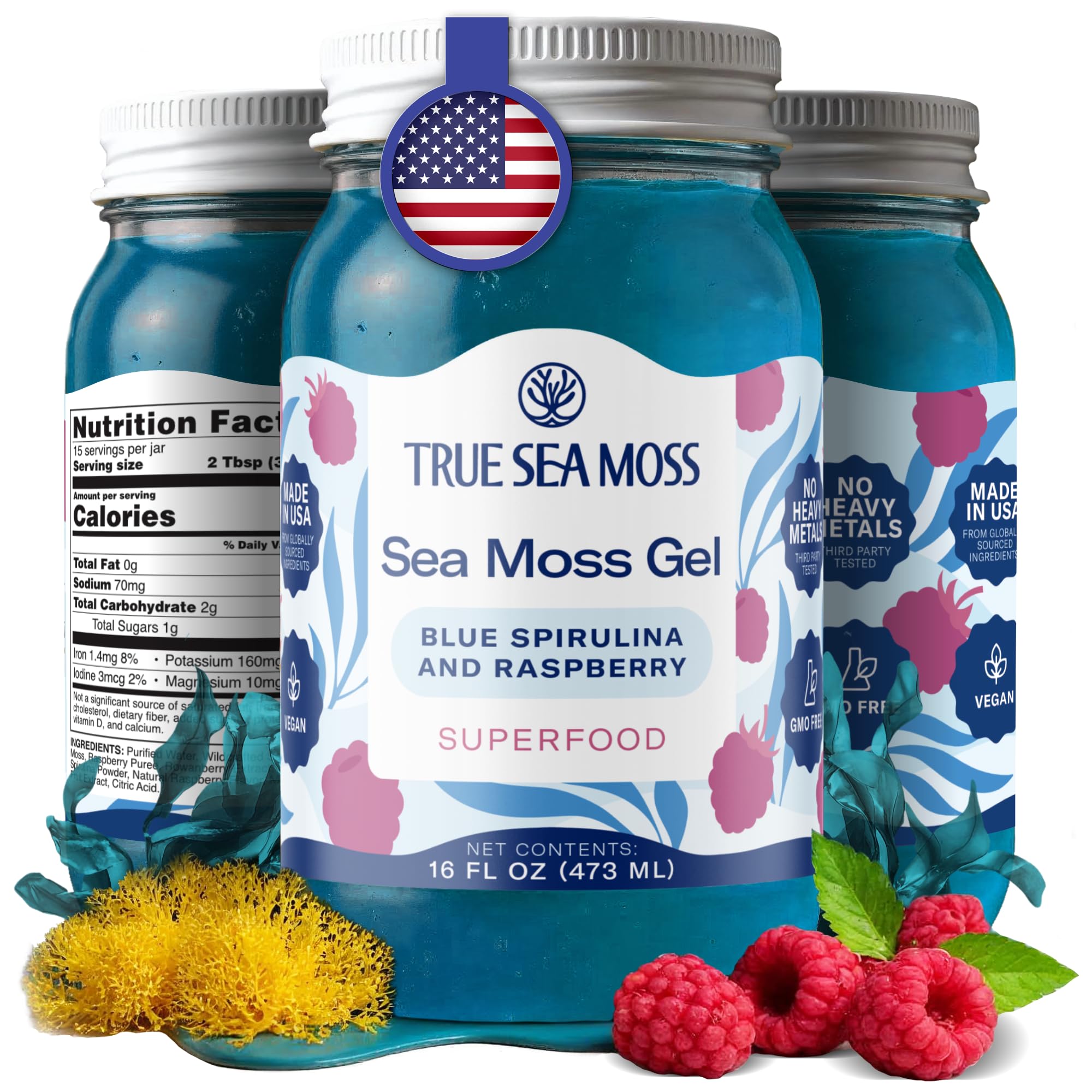 Buy now TrueSeaMoss Sea Moss Gel – Made in USA – Wildcrafted Seamoss, Fruits & Jarred Vegetables – Pineapple, Pack of 1 (Labels may Vary) Blue Spirulina 16 Fl Oz (Pack of 1) at indiglob india