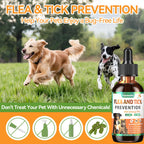 Oral Flea and Tick Prevention for Dogs and Cats with Vitamin 60ml- Bacon