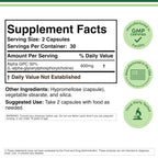 Alpha GPC Choline 600mg, Cognitive Memory + Focus Support, 60 Capsules | Brain, Memory + Focus Supplement, Acetylcholine Precursor, 300mg Active Choline per Capsule, Pre-Workout, Third Party Tested