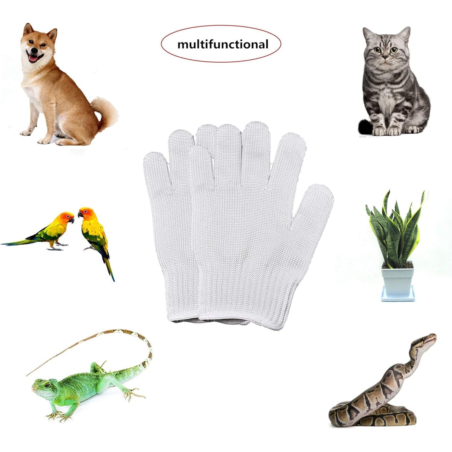 Buy now alfyng Bird Training Anti-Bite Parrot Chewing Protective Gloves, Small Animal Handling Gloves for Parrotlets Cockatiels Finch Macaw (1 Pair White) at indiglob india