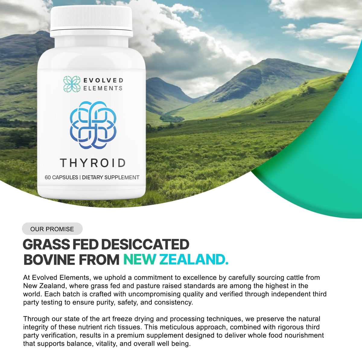 Thyroid – Raw Grass-Fed Desiccated – New Zealand Sourced - Energy & Metabolism Support – Non-GMO, 60 Capsules