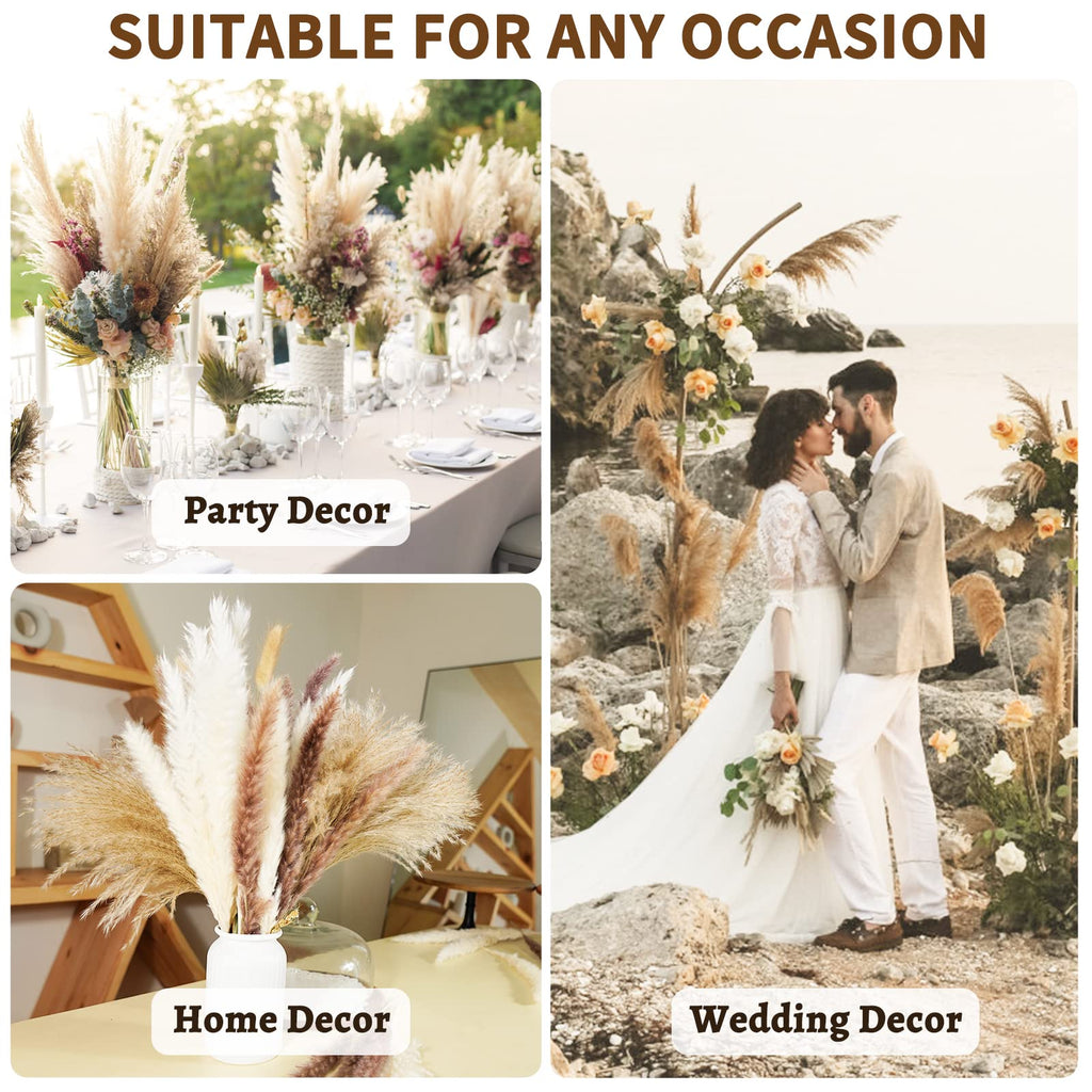 Buy now Seniny Pampas Grass, 80 Pcs Dried Pampas Grass Decor Tall 17", Natural Brown & White Pompous Grass | Bunny Tails Dried Flowers | Wheat Stalks | Reed for Boho Home Wedding Decor, Flower Arrangement at indiglob india