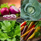 Cool Season Vegetable Seeds Variety Pack for Planting