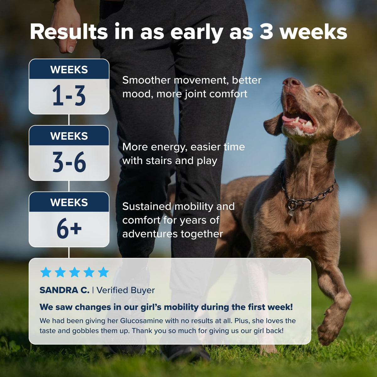 PupFlex+ Hip and Joint Supplement Dogs, Vet Created Soft Chews w/UC-II® Collagen, CurcuVET® & Omega 3 - UC-II Collagen More Effective Than Glucosamine Chondroitin, Dog Joint Supplement (60 ct)
