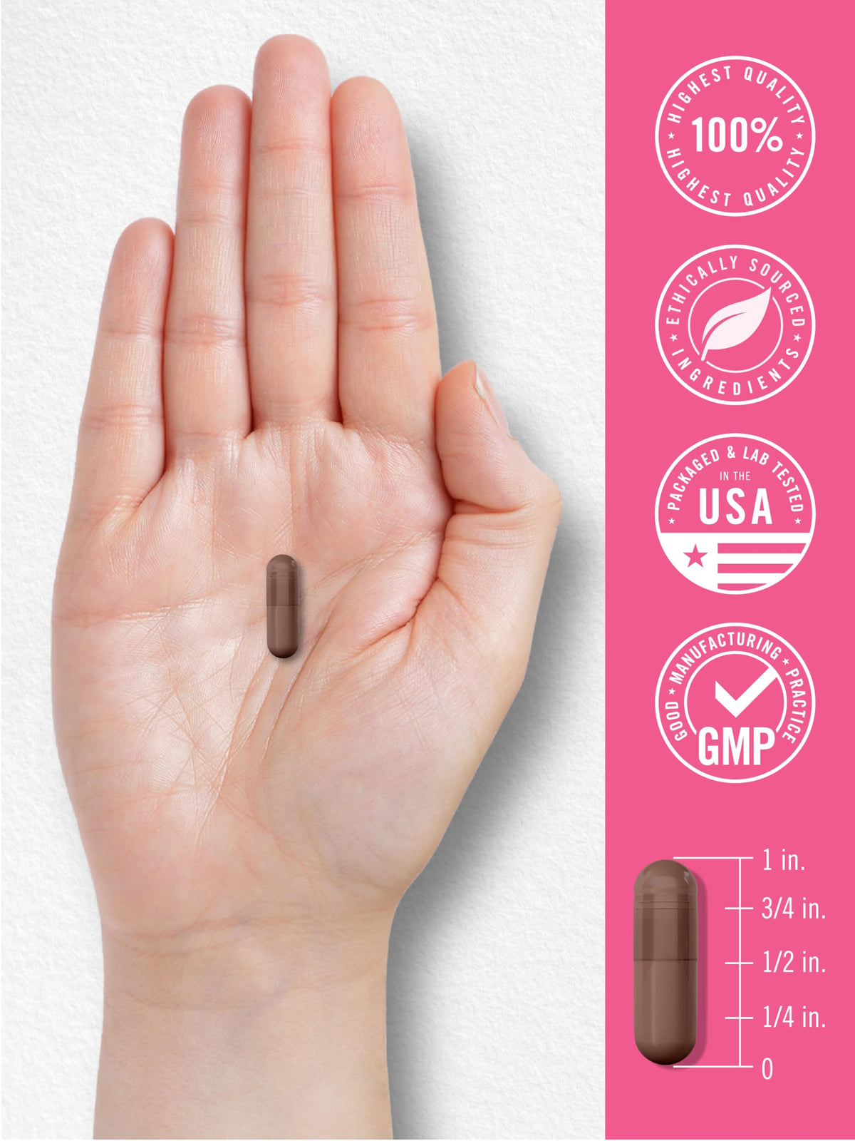 Carlyle Urinary Tract Health for Women | 120 Capsules | Relief for Women