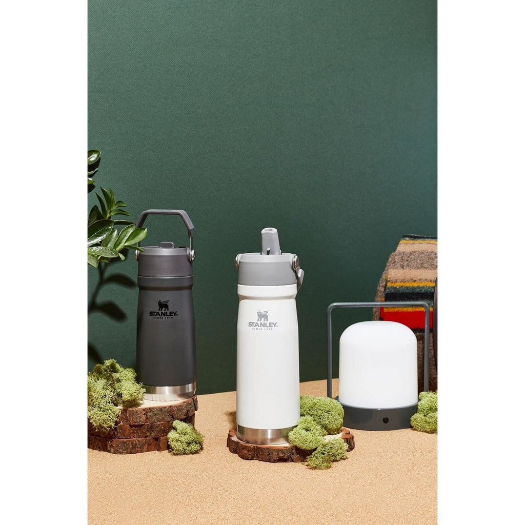 Buy now Stanley IceFlow Flip Straw Water Bottle 22 oz | Built-In Straw for Travel and Sports | Lightweight and Leak Resistant | Insulated Stainless Steel | BPA-Free | Polar at indiglob india