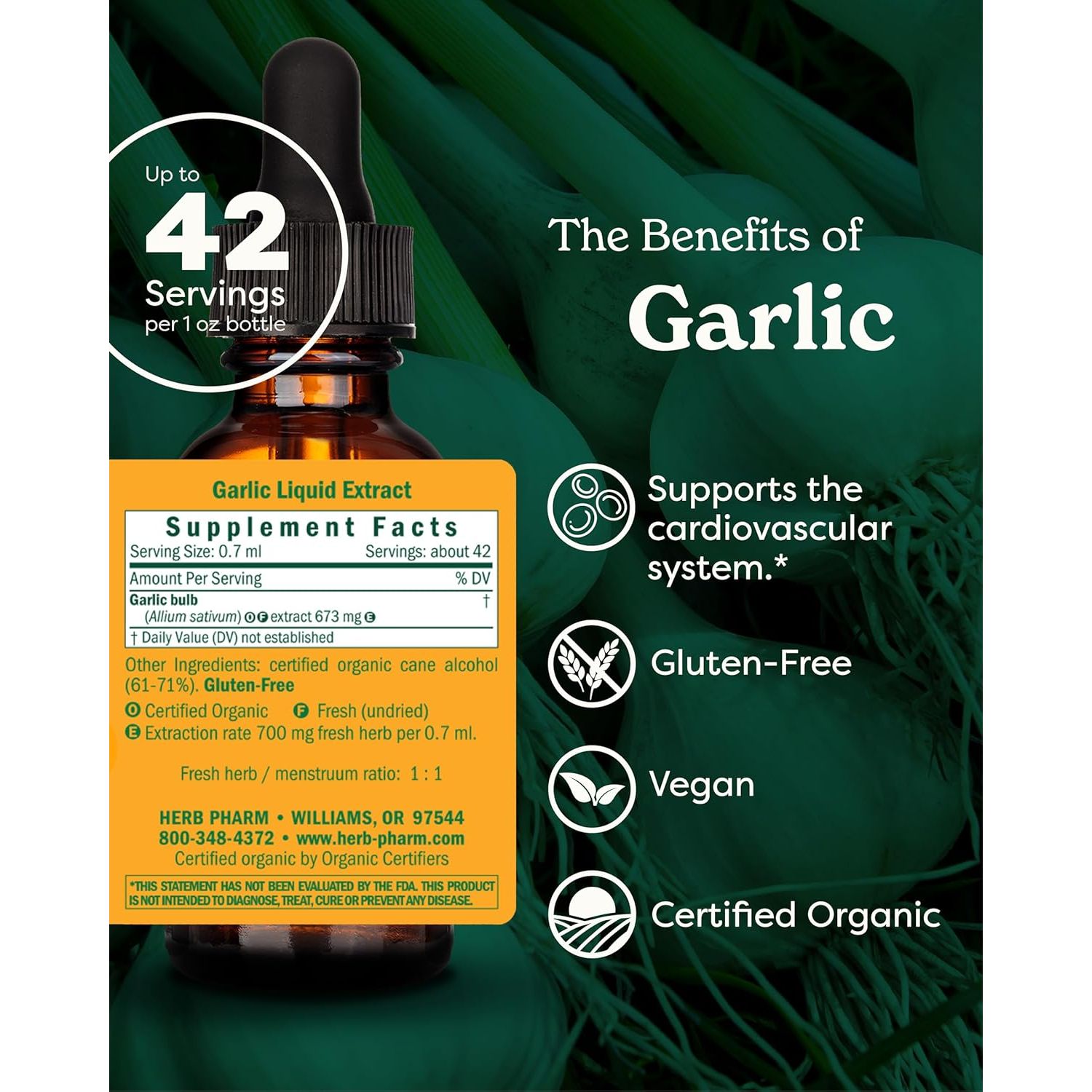 Buy now Herb Pharm Certified Organic Garlic Liquid Extract for Cardiovascular and Circulatory Support - 1 Ounce at indiglob india