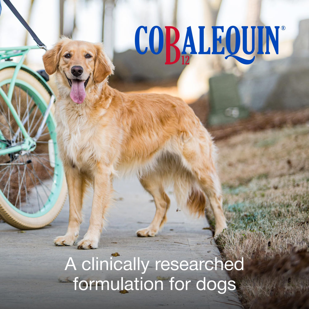 Nutramax Cobalequin Vitamin B12 for Dogs Over 21lbs, Chewable Tablets, 45ct | Vitamin B12 Supplement for Dogs, Oral Cobalamin with Folate, May Eliminate the Need for B12 Injections, for Dogs Over 21lbs