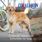 Nutramax Cobalequin Vitamin B12 for Dogs Over 21lbs, Chewable Tablets, 45ct | Vitamin B12 Supplement for Dogs, Oral Cobalamin with Folate, May Eliminate the Need for B12 Injections, for Dogs Over 21lbs