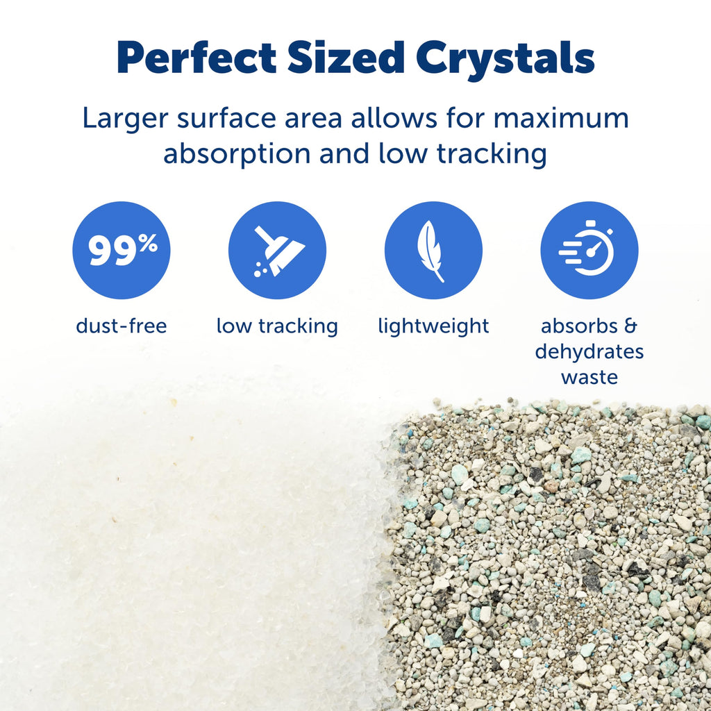 Buy now PetSafe ScoopFree Premium Natural Cat Litter - Eco-Friendly Long-Lasting Litter - High Absorbency & Low-Tracking Design - Non-Clumping Pebbles - 4.2 lb Bag - 2 Pack at indiglob india