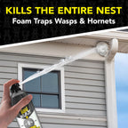 Raid MAX Foaming Wasp & Hornet Killer Bug Spray, 16.5 oz