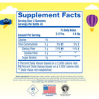 Buy now Lâ€™il Critters Fiber Daily Gummy Supplement for Kids, for Digestive Support, Berry and Lemon Flavors, 90 Gummies at indiglob india