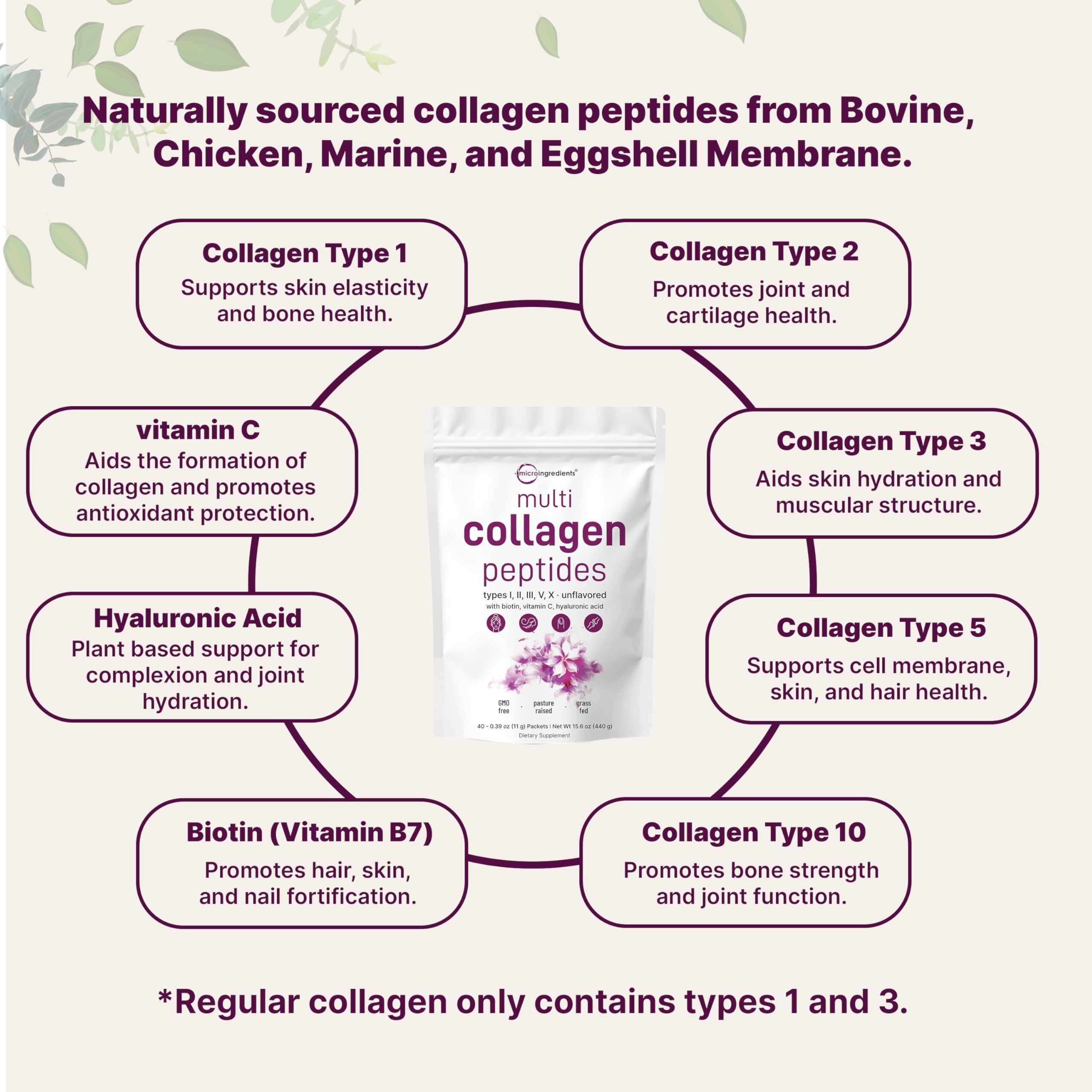 Micro Ingredients Multi Collagen Peptides Powder, 40 Stick Packs | Type I, II, III, V, X + Biotin, Vitamin C & Hyaluronic Acid | Unflavored | Supports Hair, Skin & Joint Health | Keto, Non-GMO