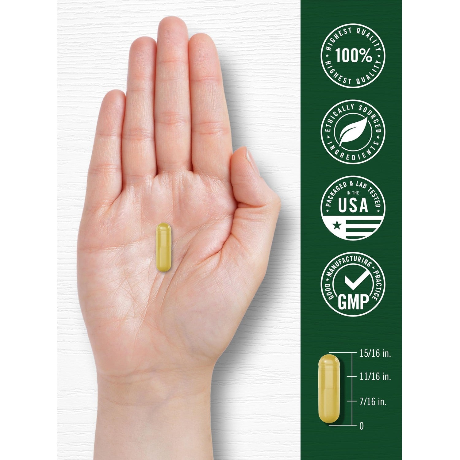 Carlyle Berberine with Ceylon Cinnamon | 60 Capsules | Vegetarian, Non-GMO, Gluten Free