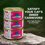 Blue Buffalo Wilderness Salmon Paté Adult Wet Cat Food, 3 oz, 24 ct