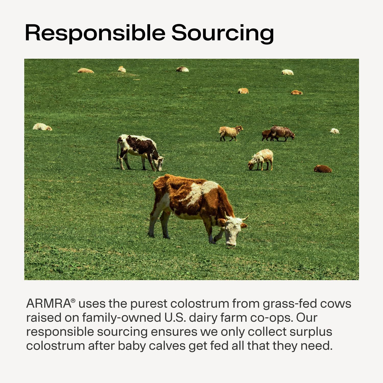 ARMRA Colostrum Powder, Blood Orange, 90 Serving Jar | Gut Health | Debloat | Hair & Skin | Immune Support | Keto | Gluten Free | Grass Fed Bovine Colostrum Supplement