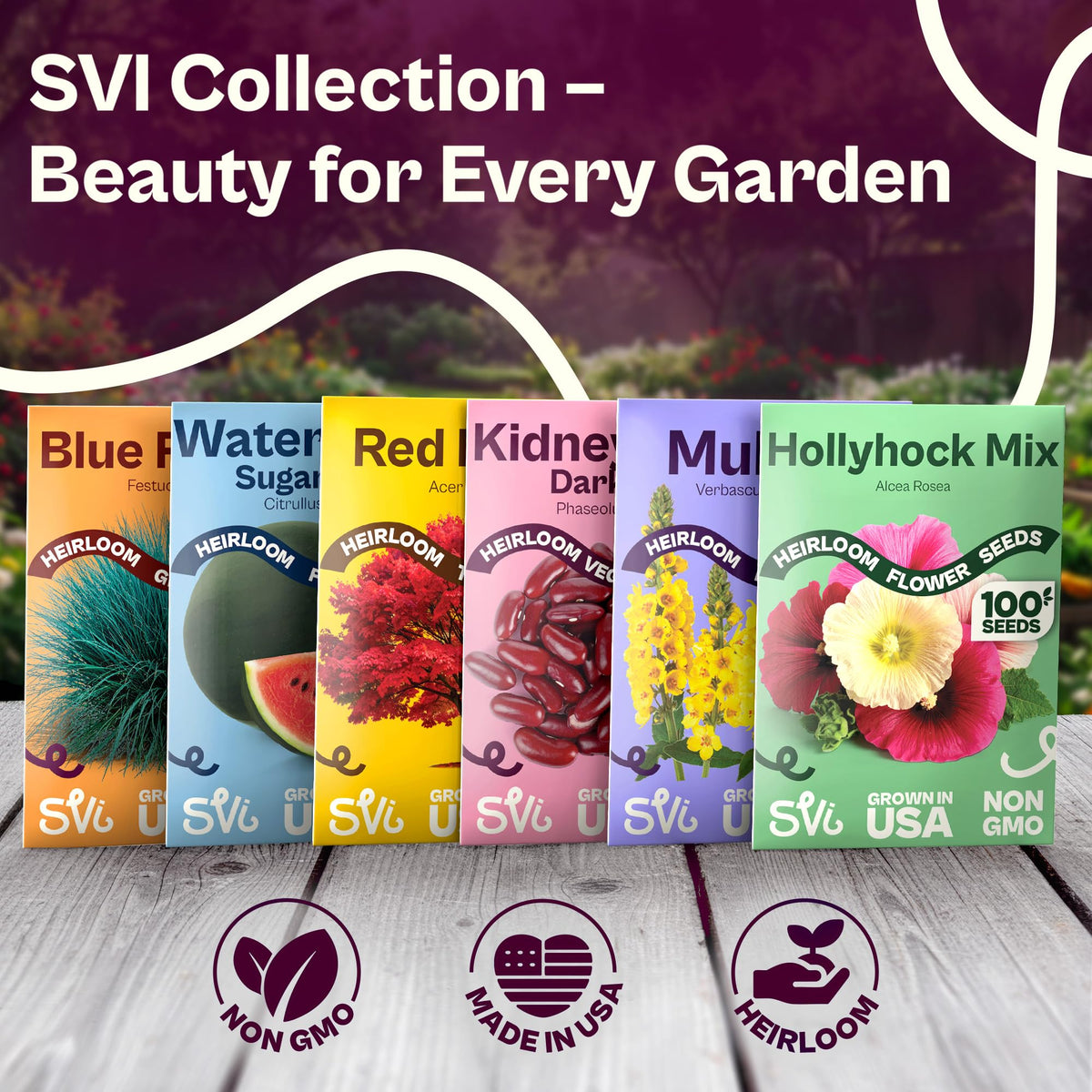 SVI 200 Rainbow Mixture Swiss Chard Seeds (Beta Vulgaris VAR. Cicla) - Five Color Silverbeet Chard, Colorful Stems, Non GMO Heirloom Seed - Perfect Vegetable Seeds in Seed Packets for Home Garden
