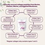 Micro Ingredients Multi Collagen Peptides Powder, 2lb (82 Servings) | Hydrolyzed Type I, II, III, V, X with Biotin, Hyaluronic Acid & Vitamin C. Unflavored Collagen for Women & Men, Easy Dissolve