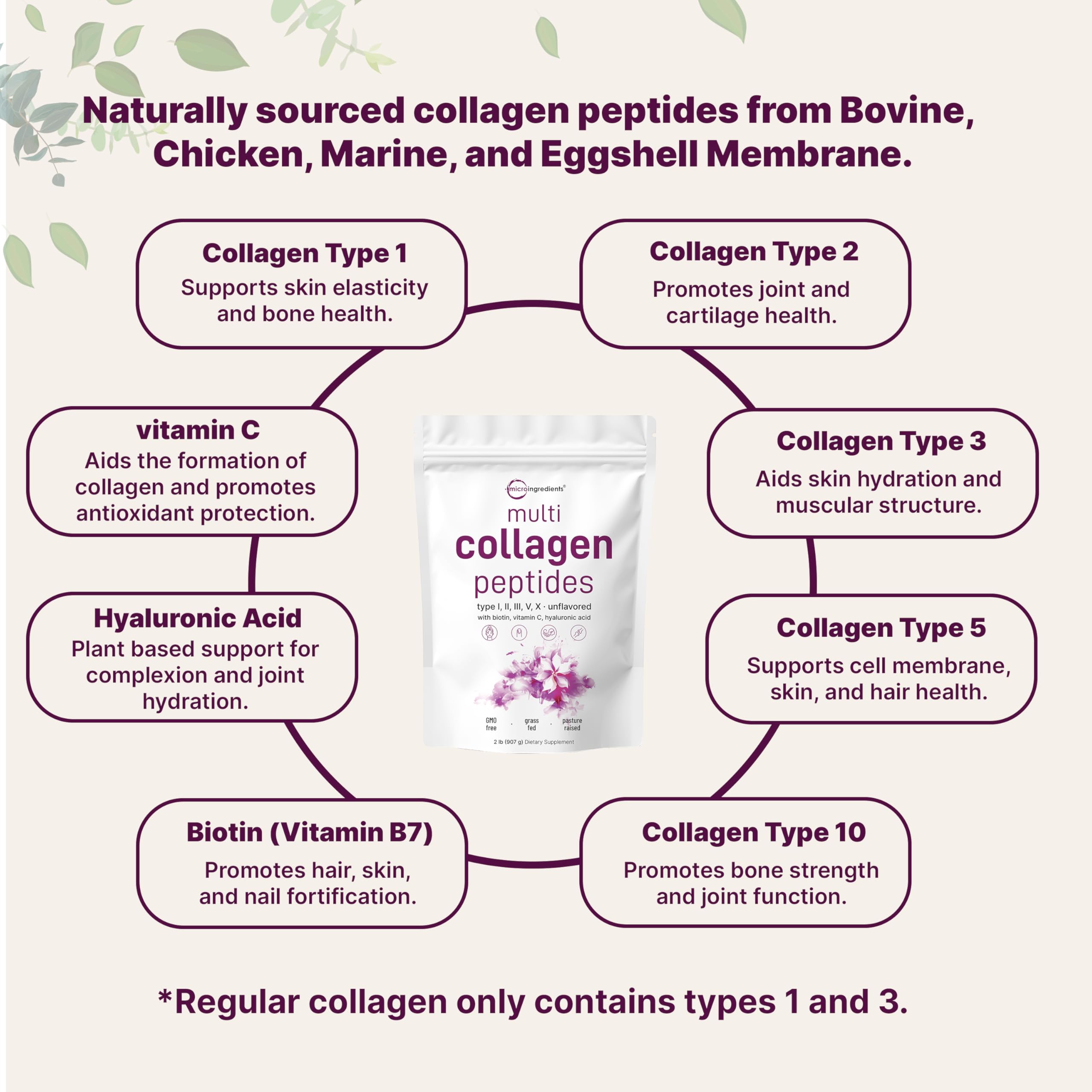 Micro Ingredients Multi Collagen Peptides Powder, 2lb (82 Servings) | Hydrolyzed Type I, II, III, V, X with Biotin, Hyaluronic Acid & Vitamin C. Unflavored Collagen for Women & Men, Easy Dissolve