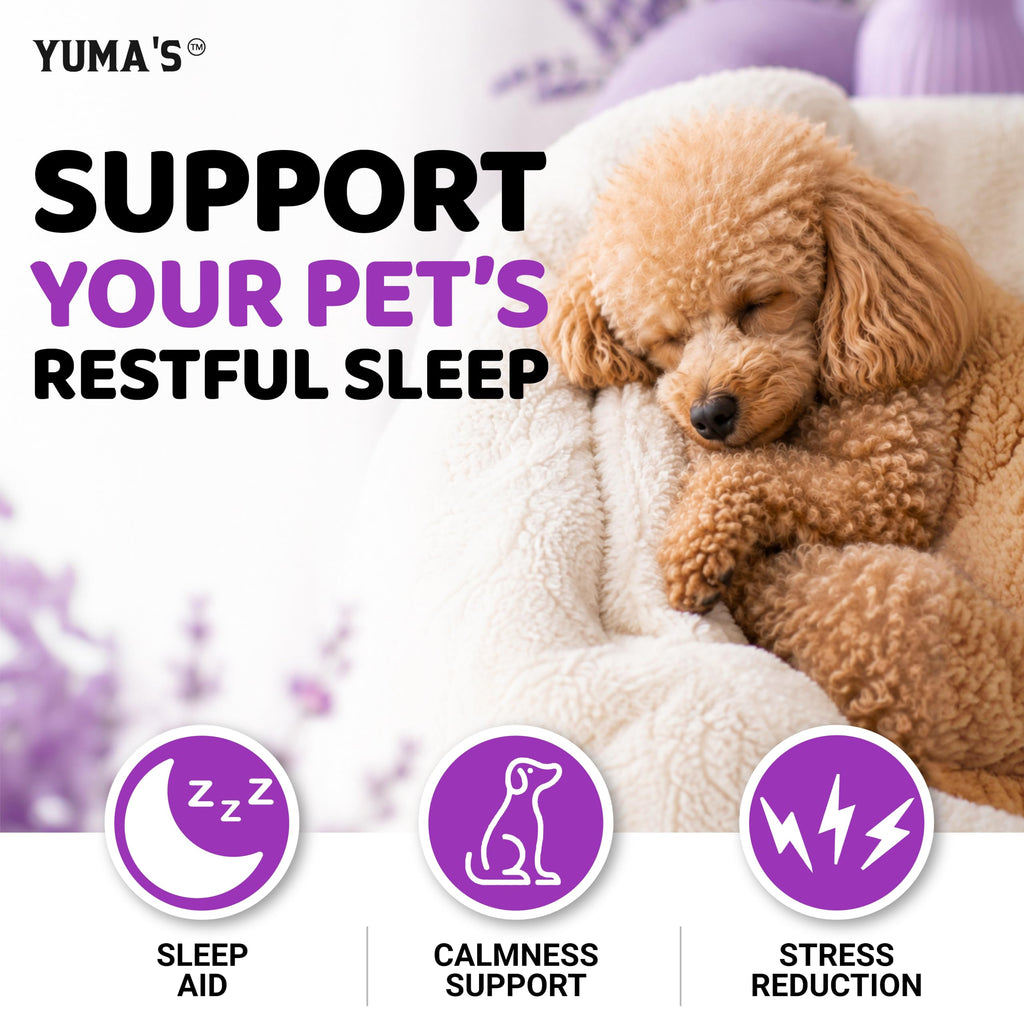 Melatonin for Dogs - 170 Chews - Melatonin Chews for Small and Large Dogs