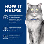 Hill's Prescription Diet GI Biome Stress Digestive/Fiber Care Wet Cat Food
