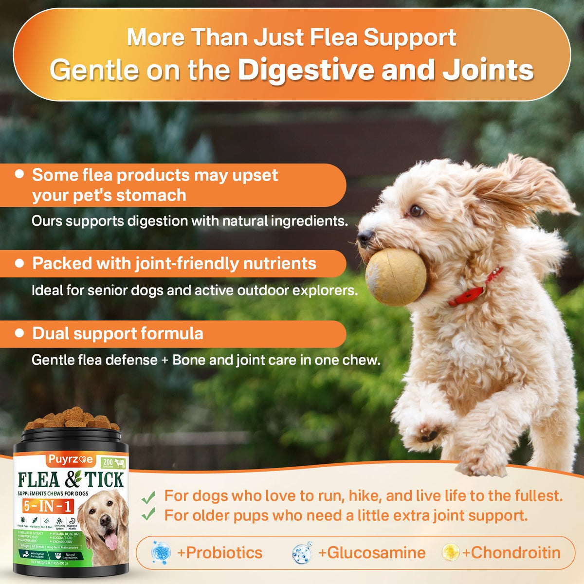 Puyrzoe Flea and Tick Prevention for Dogs, Dog Flea and Tick Treatment Chew