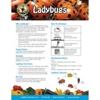Natures Good Guys 1500 Live Ladybugs - Good Bugs- Ladybugs - Guaranteed Live Delivery!