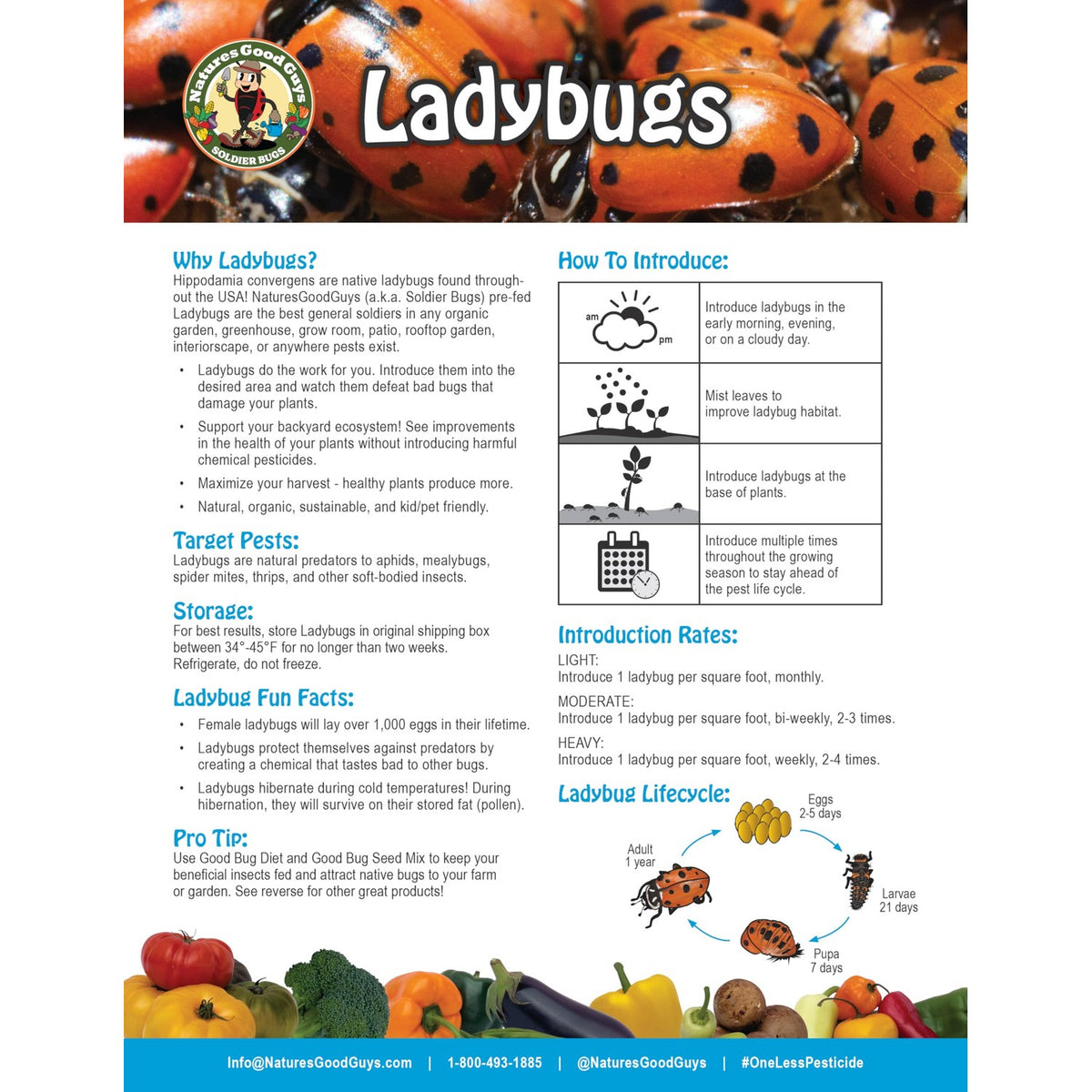 Natures Good Guys 1500 Live Ladybugs - Good Bugs- Ladybugs - Guaranteed Live Delivery!