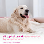 Douxo S3 Calm Itch Soothing Mousse for Dogs & Cats