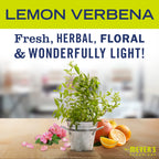 Buy now MRS. MEYER'S CLEAN DAY Liquid Hand Soap, Cruelty-Free Hand Wash Made with Essential Oils, Lemon Verbena Scent, 12.5 Oz (Pack of 3) at indiglob india