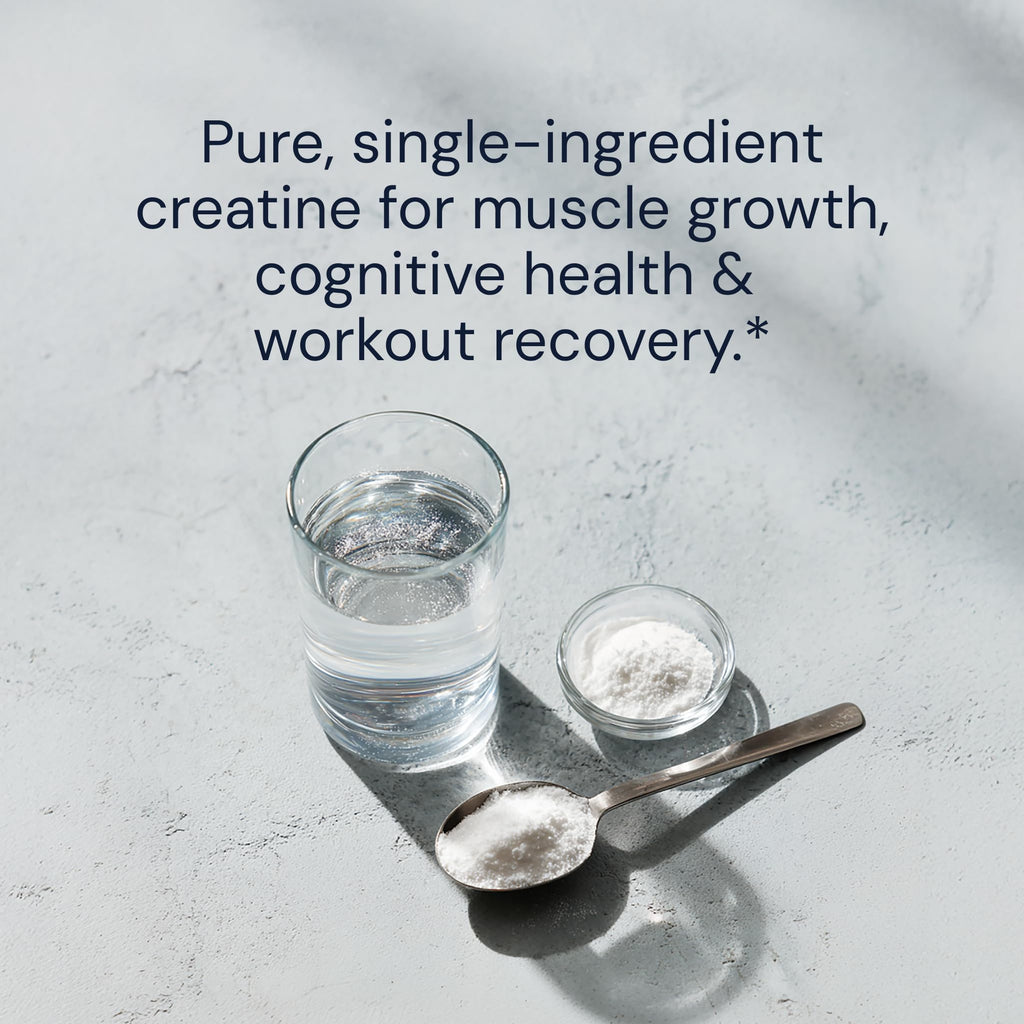 Blueprint Bryan Johnson Creatine Monohydrate Powder – Amino Acid Powder - Supplement Supports Muscle Recovery, Strength & Focus – Unflavored Creatine for Women & Men – 5g Dose – 100 Servings