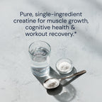 Blueprint Bryan Johnson Creatine Monohydrate Powder – Amino Acid Powder - Supplement Supports Muscle Recovery, Strength & Focus – Unflavored Creatine for Women & Men – 5g Dose – 100 Servings