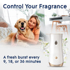 Glade Automatic Spray Refill, Pet Fresh Scent, Scented Air Freshener for Home and Bathroom, 6.2 Oz, 3 Count