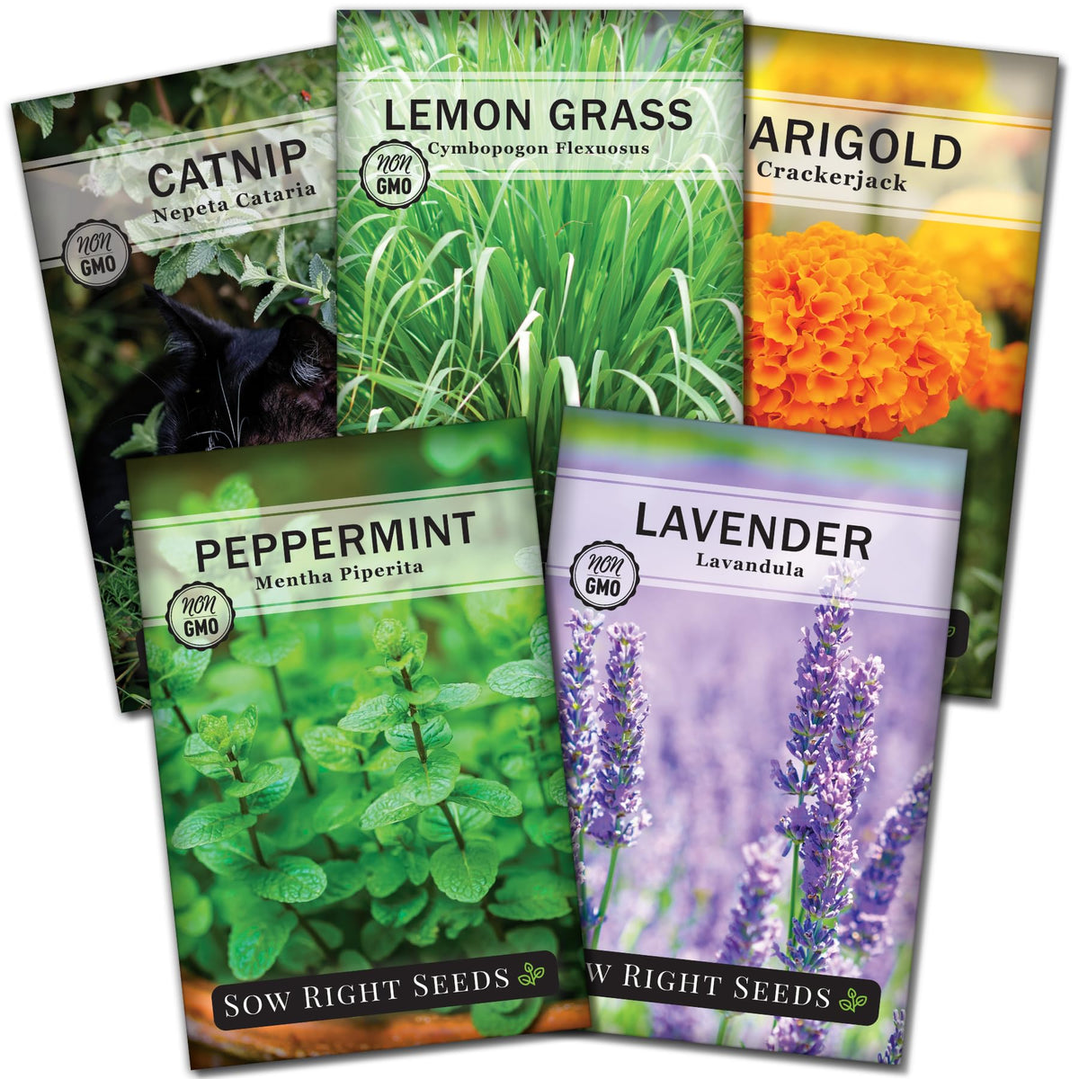 Sow Right Seeds - Insect & Pest Repellent Seed Collection for Planting - Lavender, Catnip, Marigold, Peppermint & Lemon Grass - 5 Packets with Instructions for Home Garden - Natural Pest Solution
