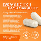 Bio-Kult Everyday Probiotics | 14 Strains | Adult Probiotic Supplement | Non-GMO, Gluten-Free | 120 Capsules