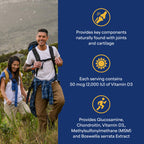 Puritan's Pride Advanced Glucosamine Chondroitin MSM with Vitamin D3 50mcg