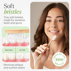 VIVAGO Bamboo Toothbrushes 10 Pack – Plant-Based Soft Bristles