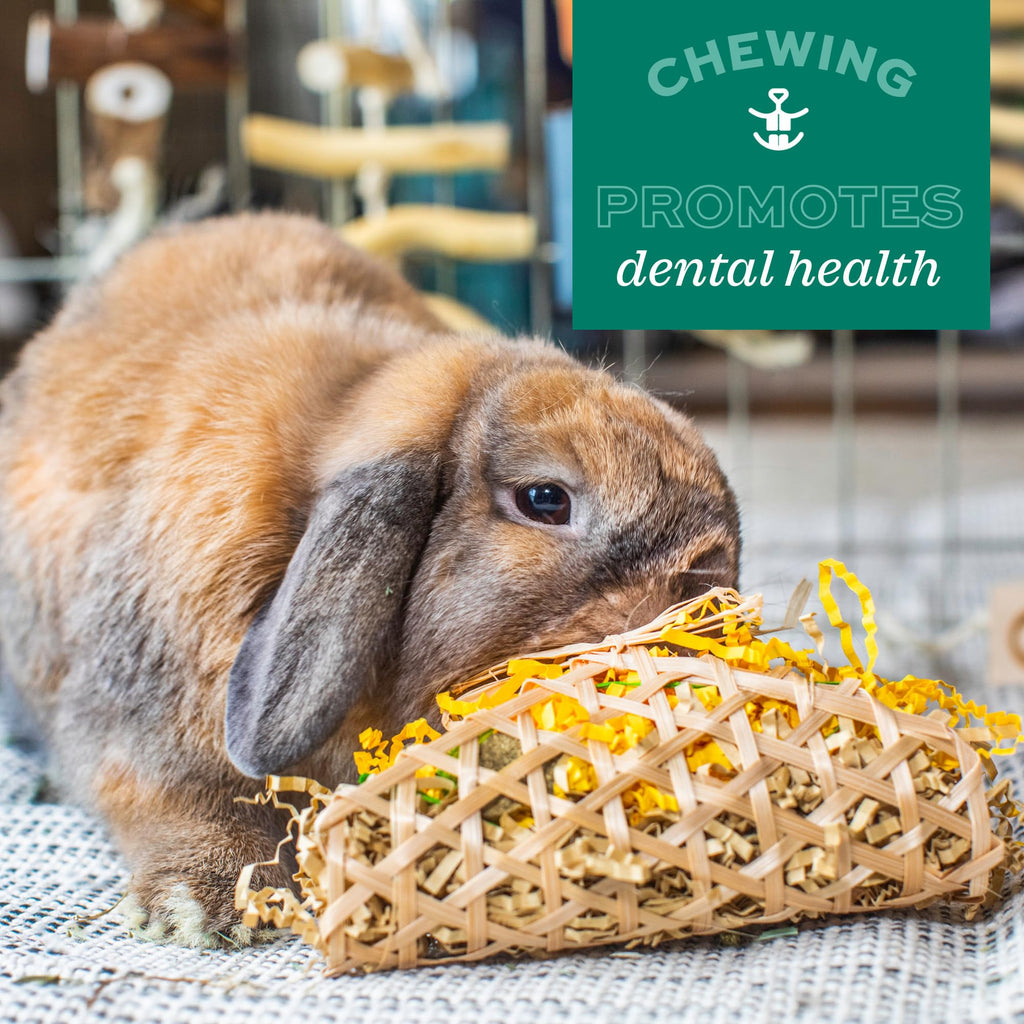 Oxbow Timothy Hay Popsicle, Rabbit Toy & Guinea Pig Chew Toy, Apple Carrot