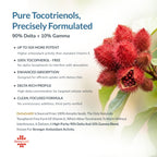 WELLNESS EXTRACT Eannatto Tocotrienols Vitamin E Supplements Tocopherol Free, Non-GMO, Gluten Free & Antioxidant (300MG 60 Softgels)
