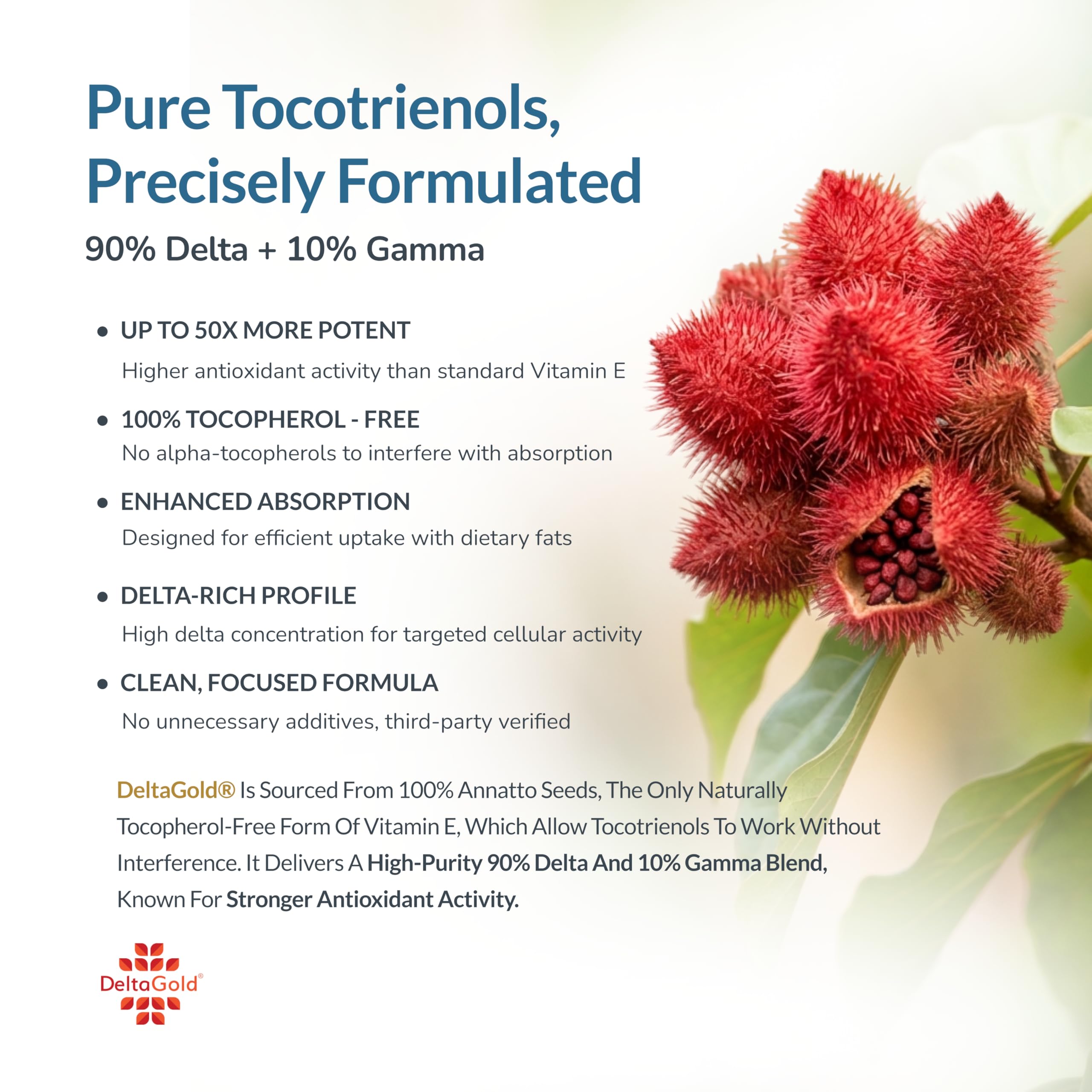 WELLNESS EXTRACT Eannatto Tocotrienols Vitamin E Supplements Tocopherol Free, Non-GMO, Gluten Free & Antioxidant (300MG 60 Softgels)