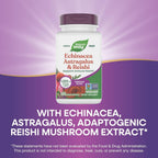 Buy now Nature's Way Echinacea Astragalus & Reishi, Immune Support*, 100 Capsules at indiglob india