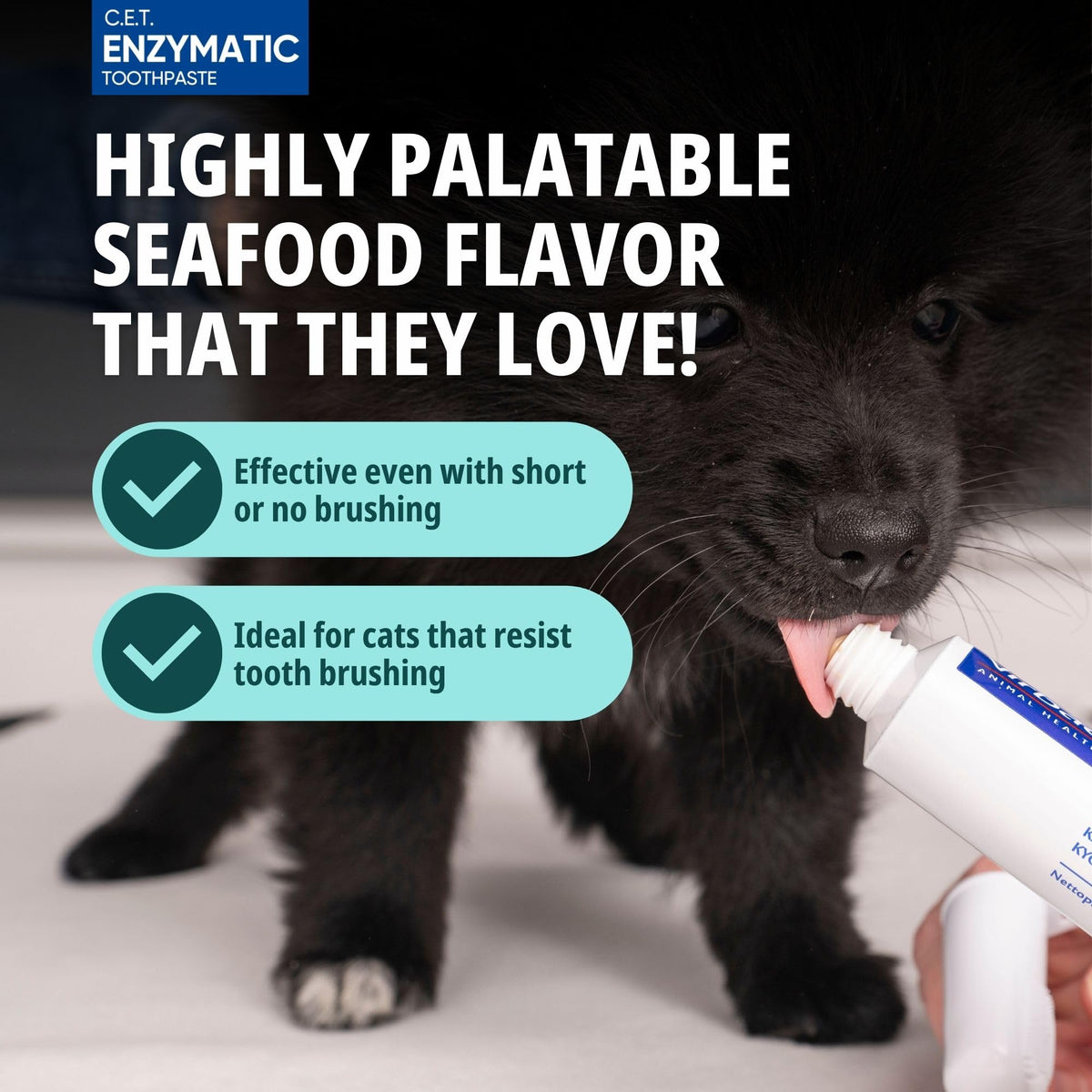 C.E.T. Oral Hygiene Kit for Cats, Seafood flavor Toothpaste with Toothbrush