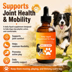 Dog Longevity Supplement with NMN, NAD+, CoQ10 & Resveratrol