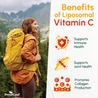 ForestLeaf Liposomal Vitamin C 1400mg Capsules | High Dose Vitamin C Liposomal Supplement w Coconut Oil Fatty Acids | Fast Absorption | Immune Support, Antioxidant, Collagen Production | 120 Vegan Cap
