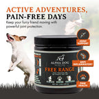 Alpha Dog Nutrition Free Range Dog Hip & Joint Supplement Powder